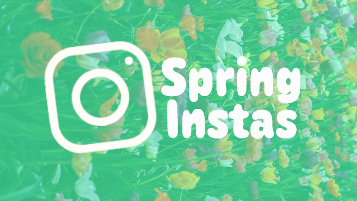 Spring Instas image number 0